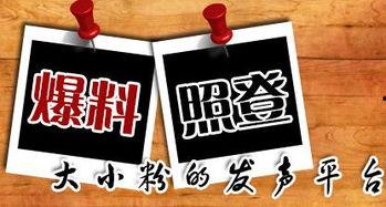 新闻爆料平台推荐,独家内幕与真实事件深度解析