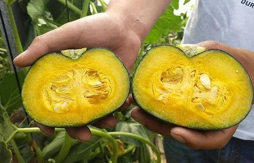 贝贝瓜蒸出来怎么吃,美味多变的食用指南