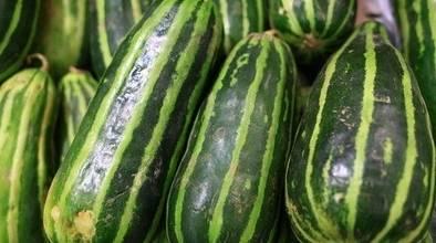 梦见买梢瓜吃,揭秘买梢瓜吃的神秘寓意