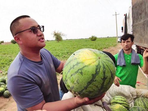 新乡导播外协吃瓜,揭秘幕后“吃瓜”众生相